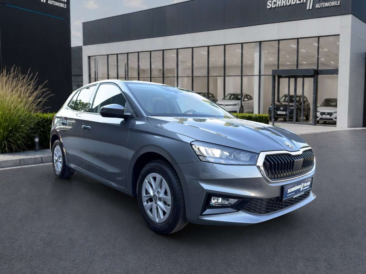 Fahrzeugbild eines Skoda Fabia