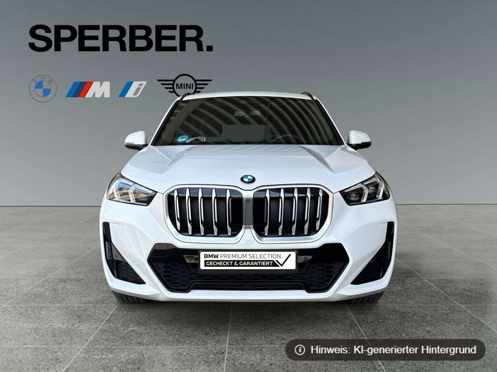 Fahrzeugbild eines BMW X1