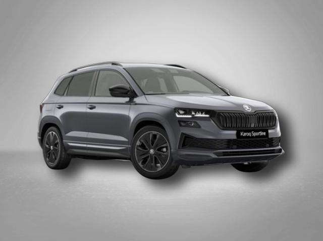 Fahrzeugbild eines Skoda Karoq