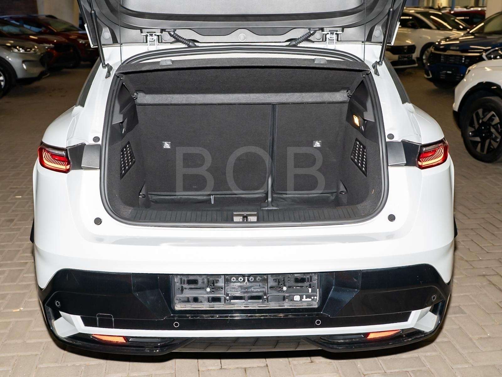 Fahrzeugbild eines Renault Megane E-TECH