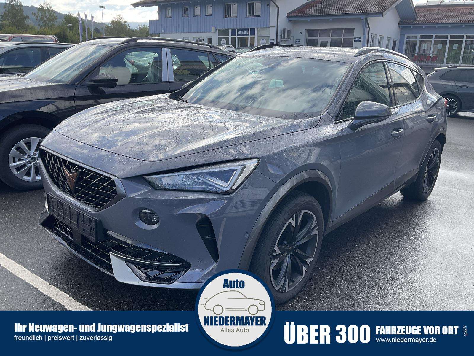Fahrzeugbild eines CUPRA Formentor
