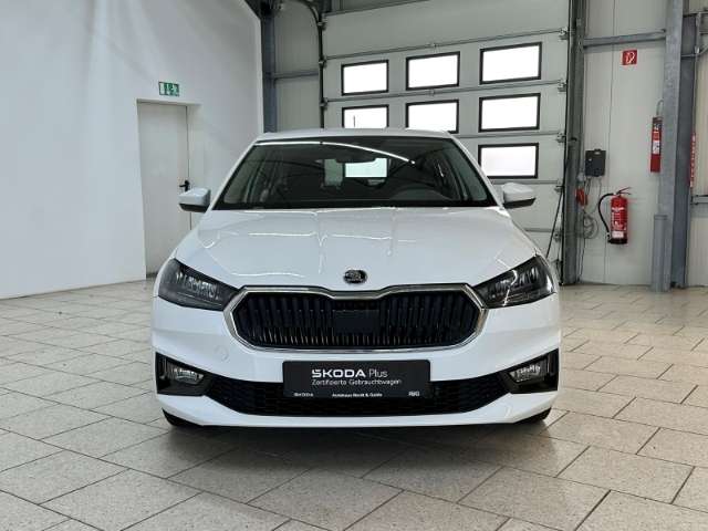 Fahrzeugbild eines Skoda Fabia