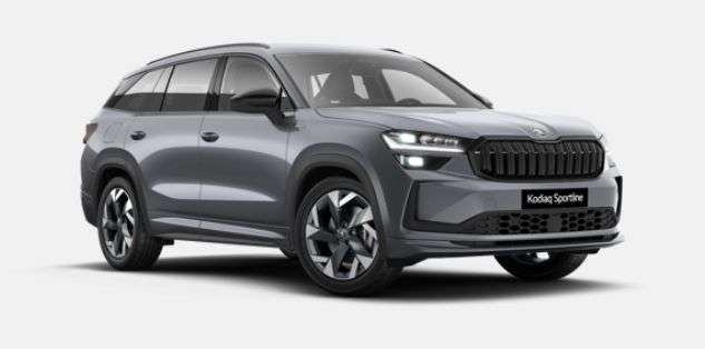 Fahrzeugbild eines Skoda Kodiaq