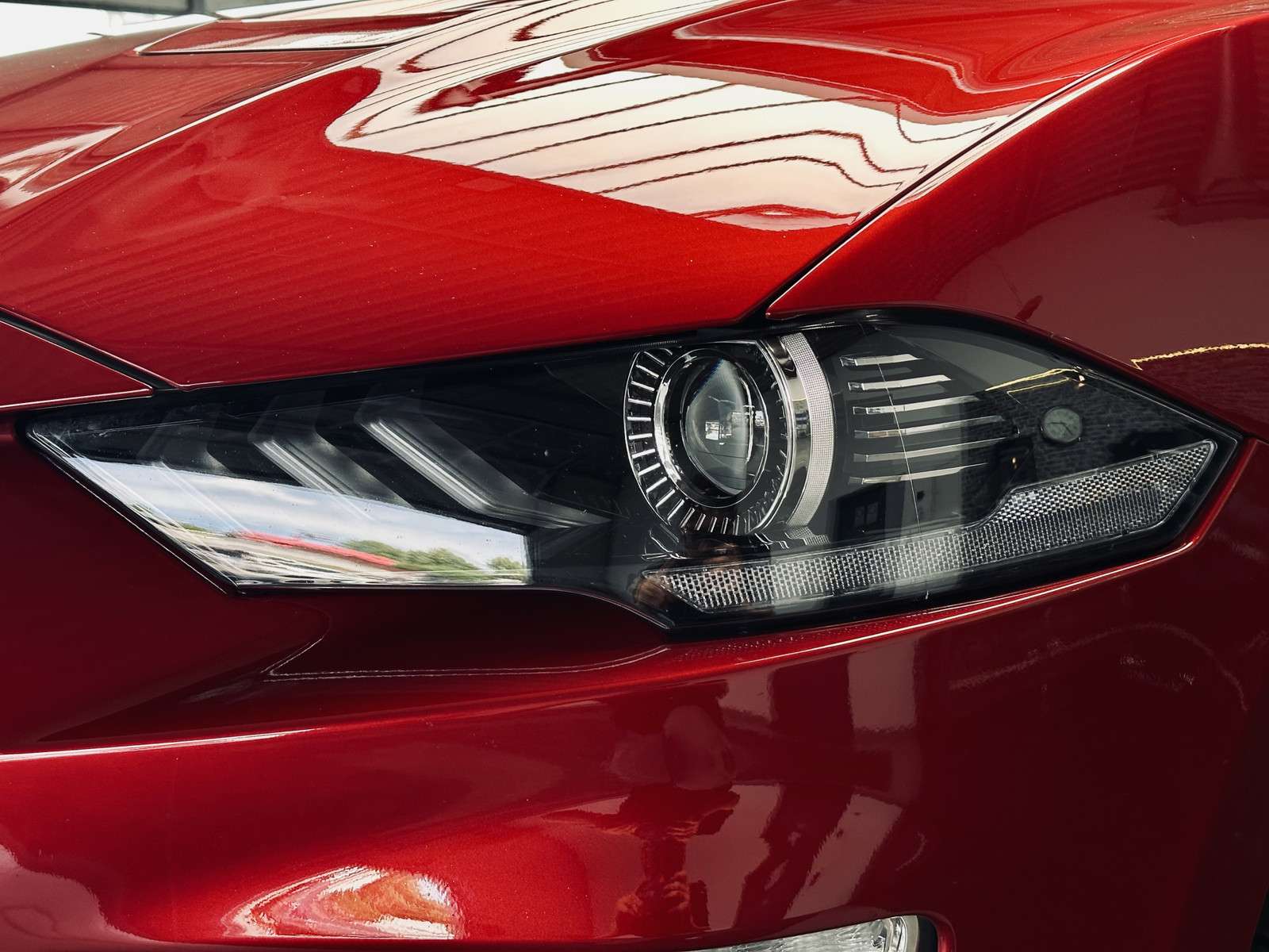 Fahrzeugbild eines Ford Mustang