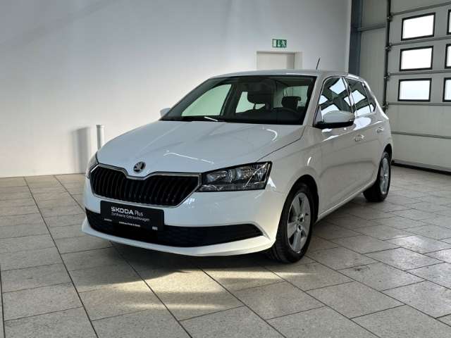 Fahrzeugbild eines Skoda Fabia