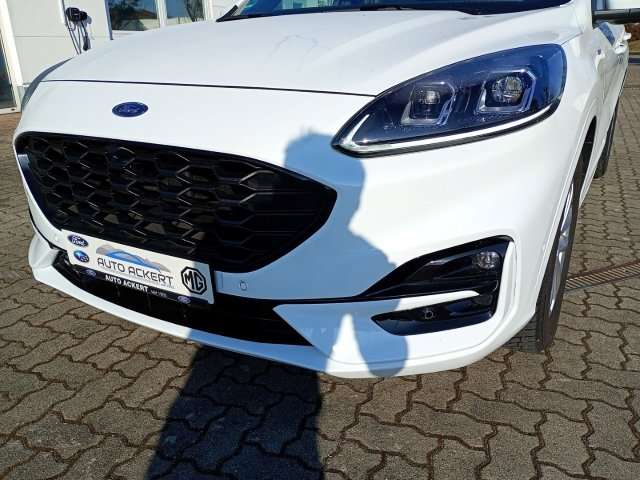 Fahrzeugbild eines Ford Kuga