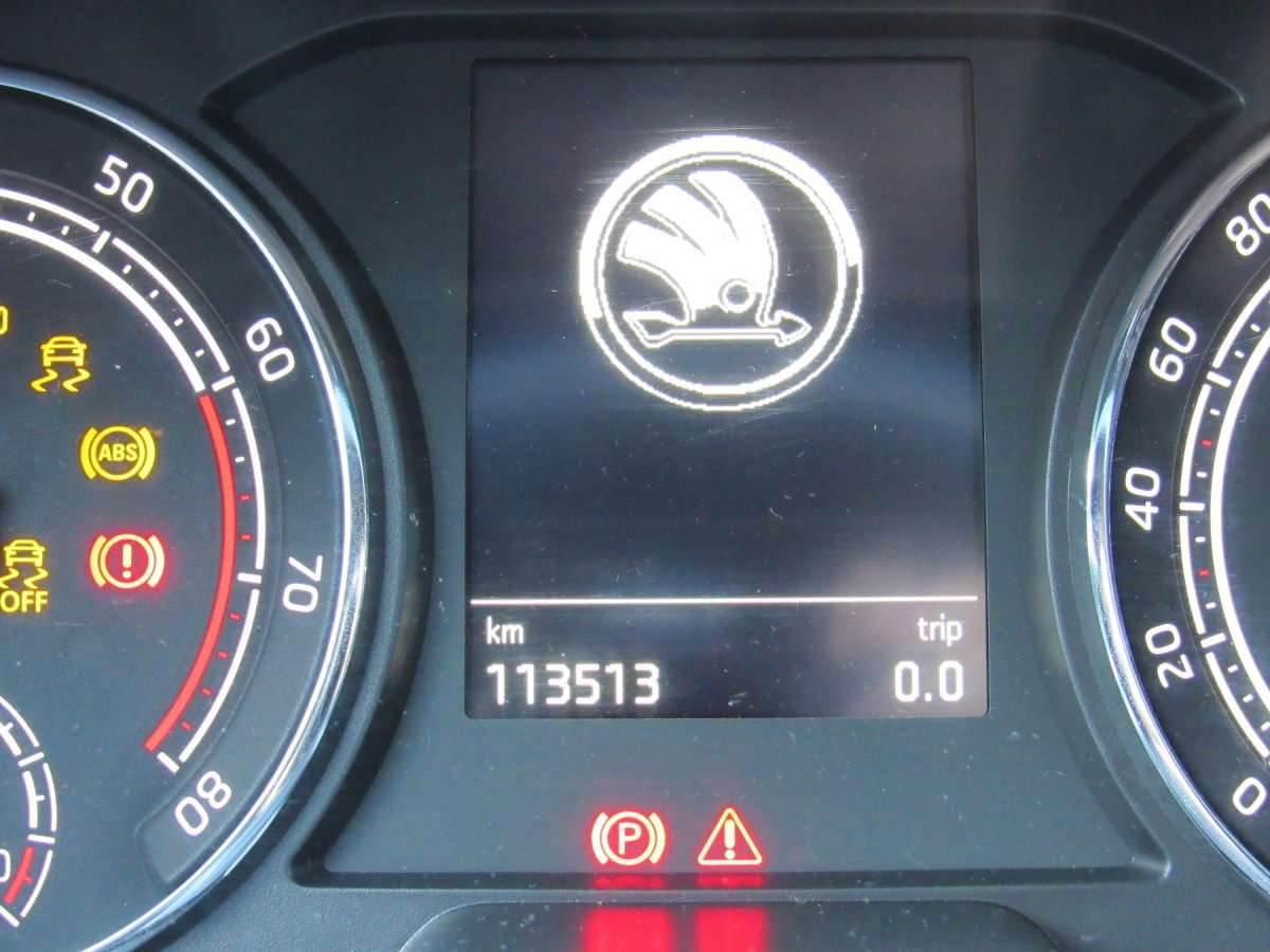 Fahrzeugbild eines Skoda Kamiq