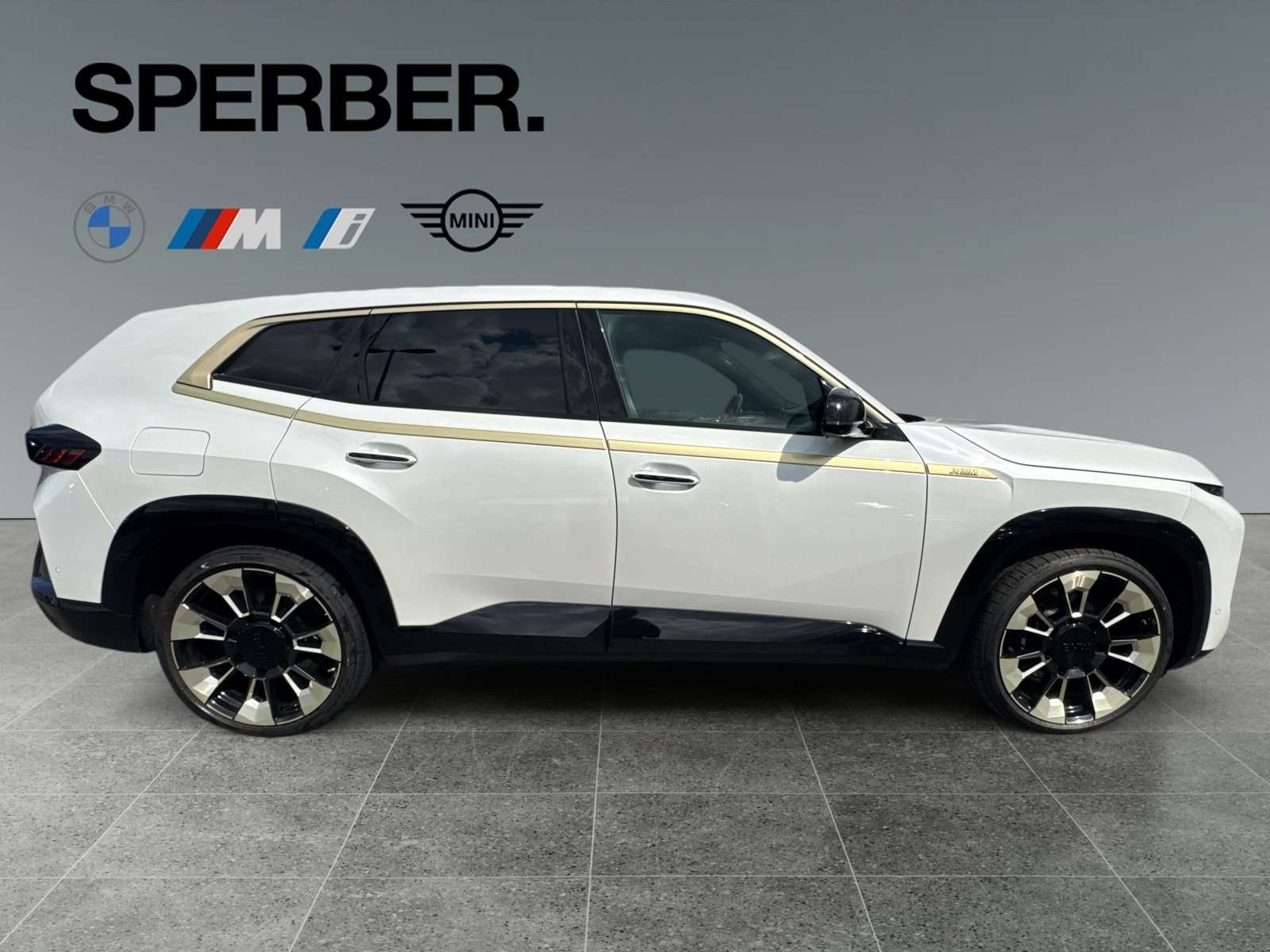 Fahrzeugbild eines BMW XM