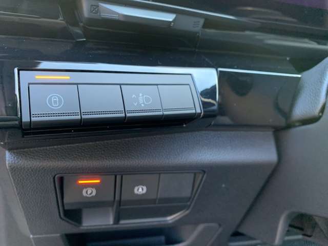 Fahrzeugbild eines Renault Austral