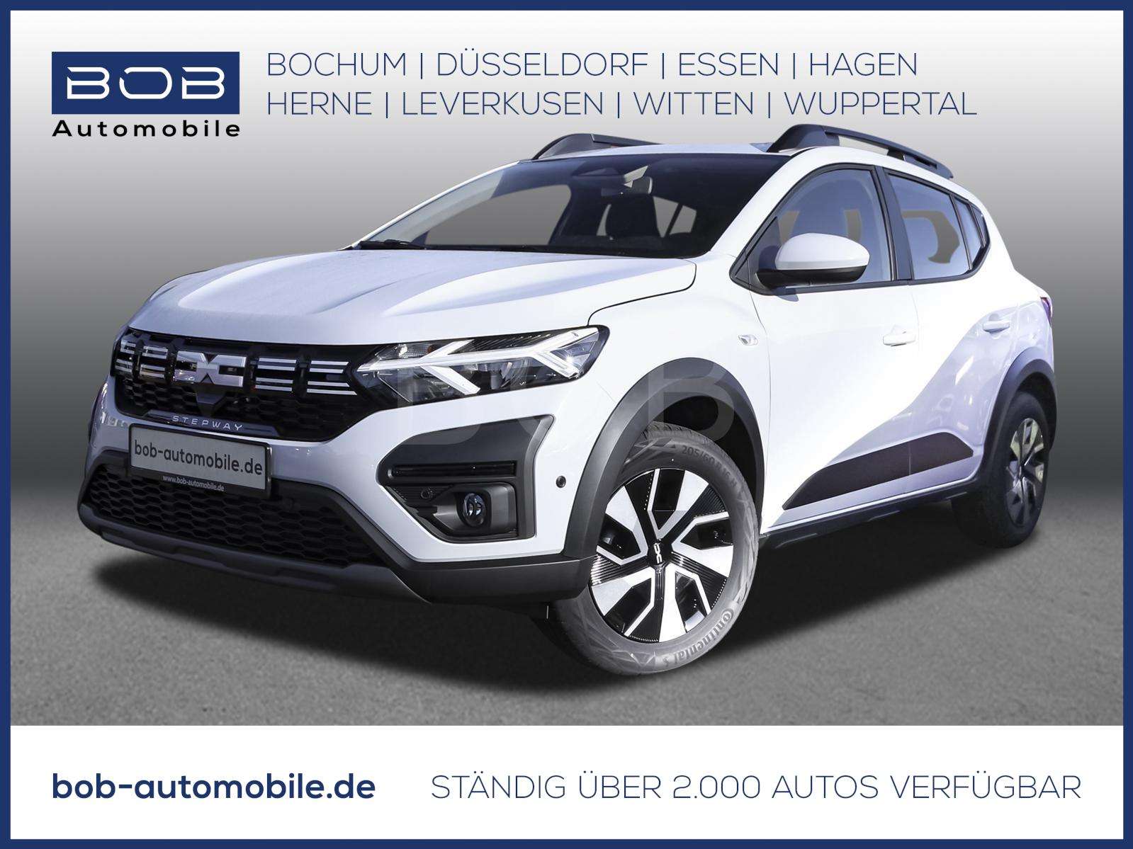 Fahrzeugbild eines Dacia Sandero