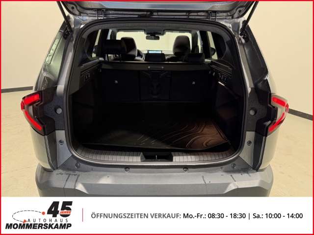 Fahrzeugbild eines Dacia Bigster