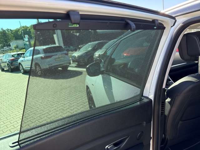 Fahrzeugbild eines Renault Grand Scénic