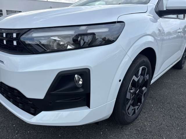 Fahrzeugbild eines Dacia Sandero