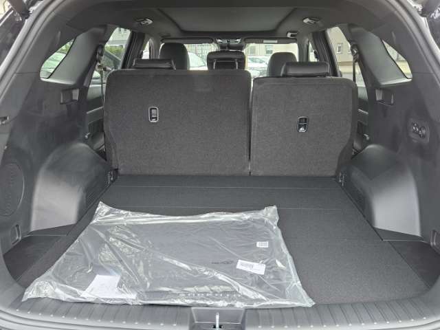 Fahrzeugbild eines Kia Sorento