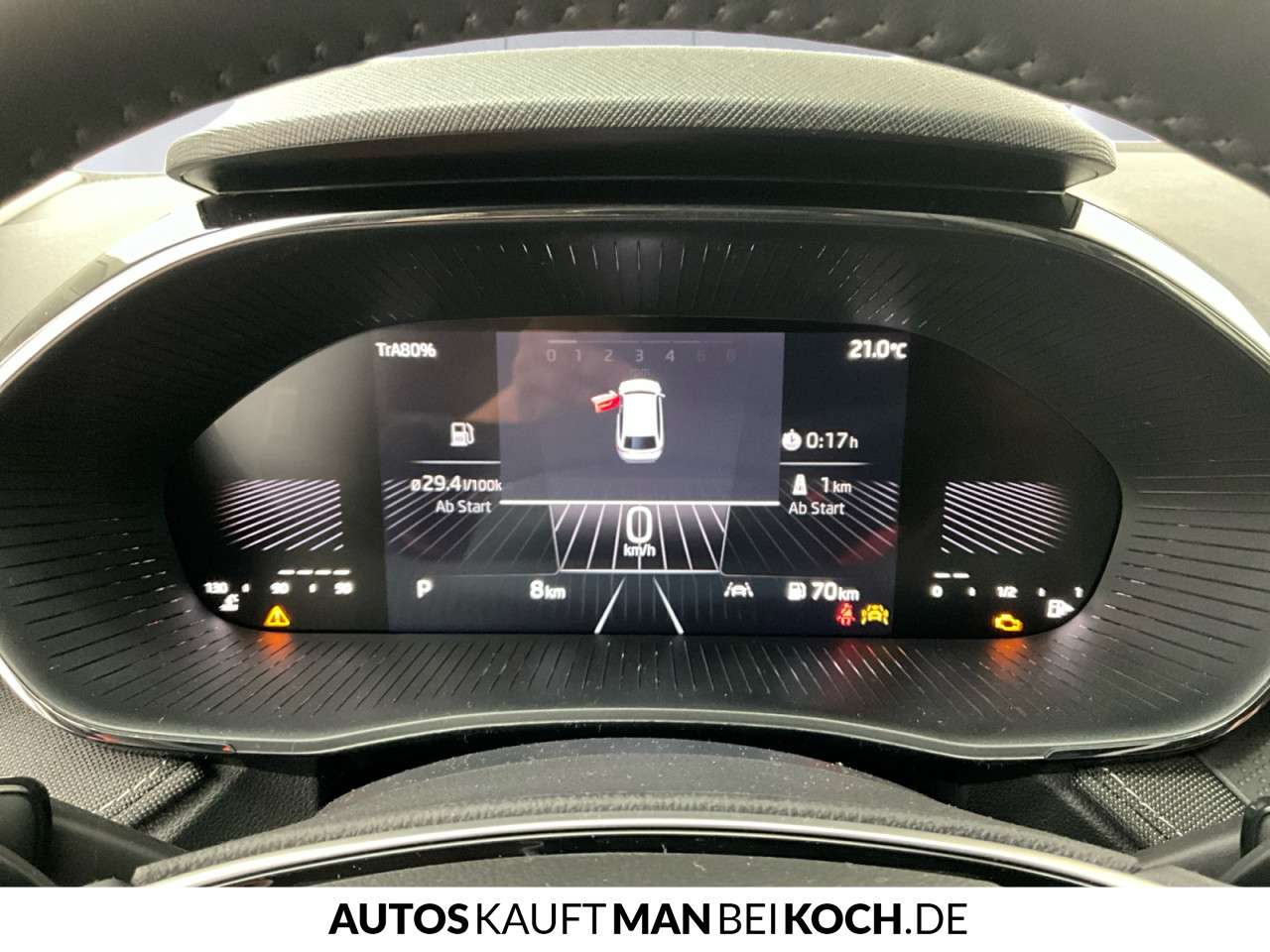 Fahrzeugbild eines Skoda Fabia