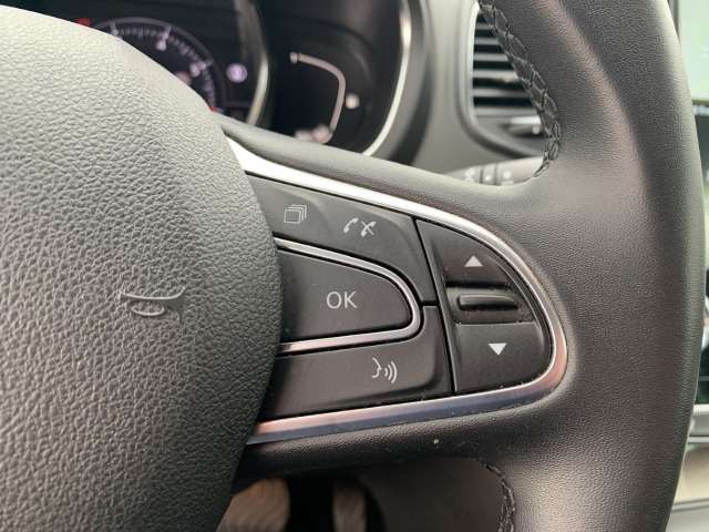 Fahrzeugbild eines Renault Grand Scénic