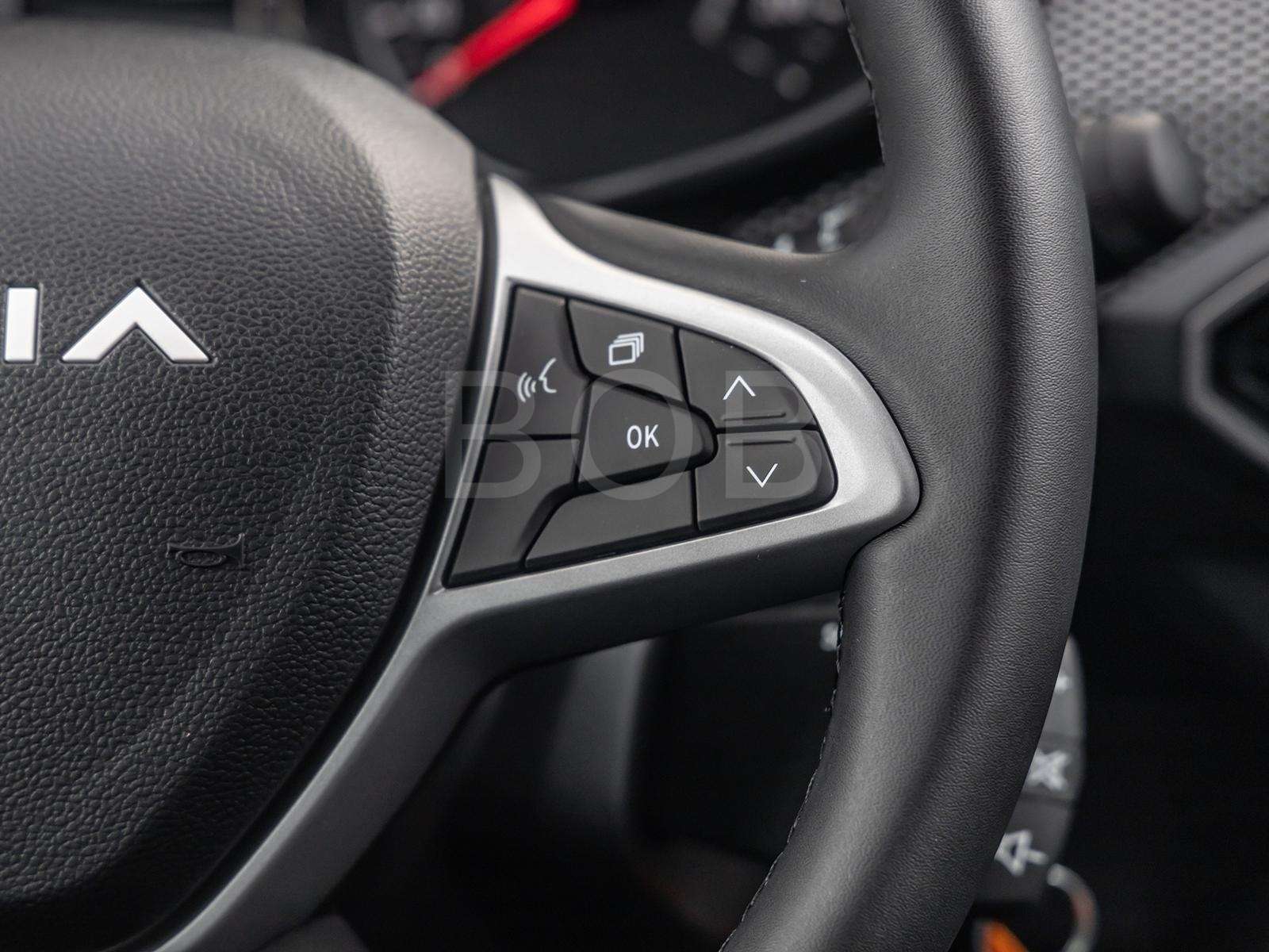 Fahrzeugbild eines Dacia Sandero