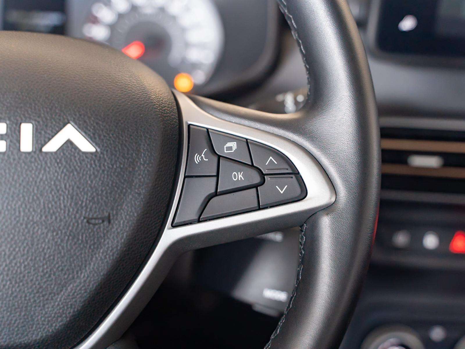 Fahrzeugbild eines Dacia Sandero
