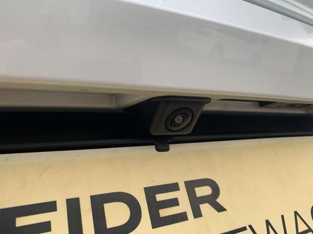 Fahrzeugbild eines Renault Rafale