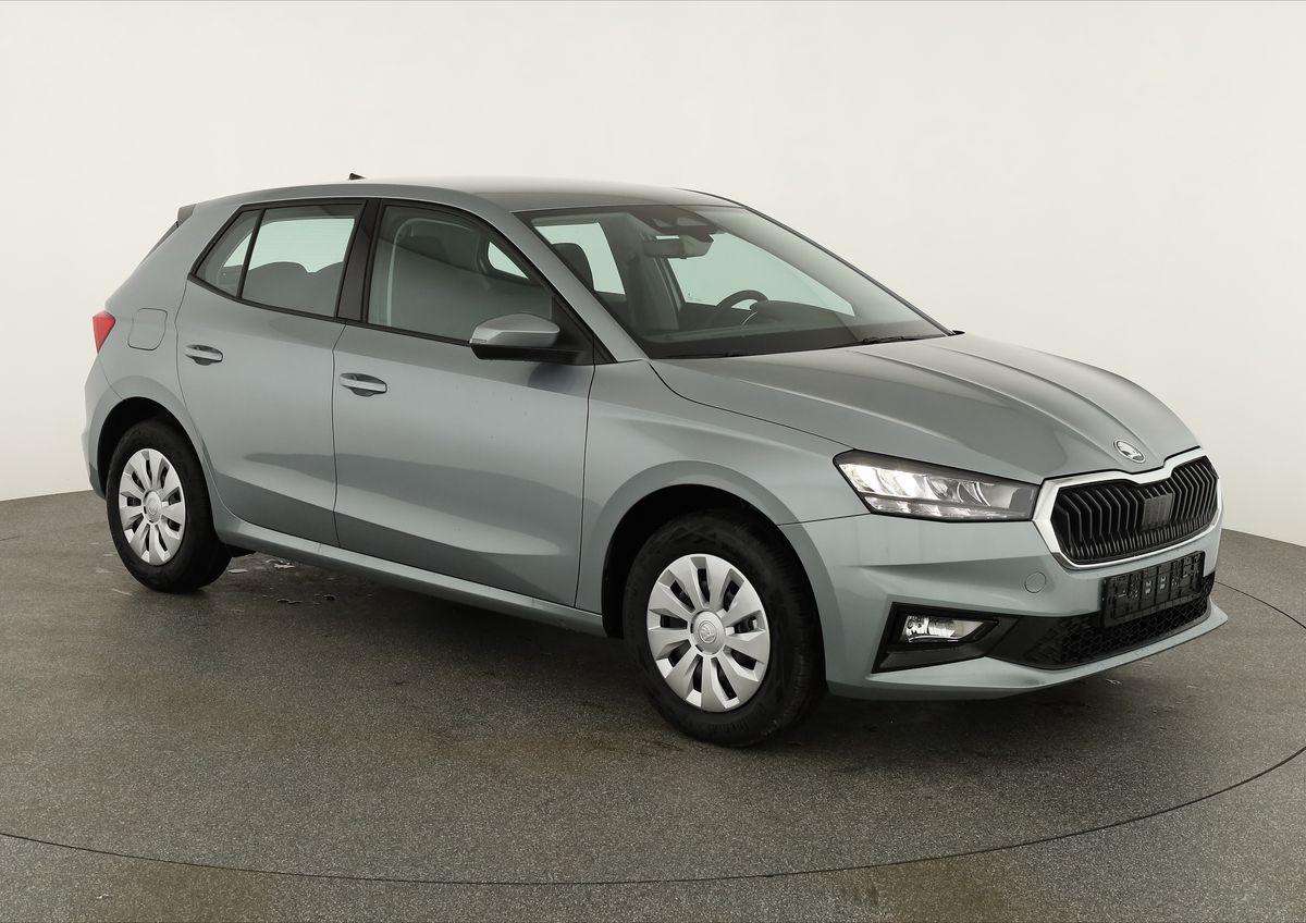 Fahrzeugbild eines Skoda Fabia