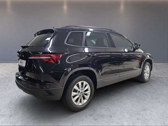 Fahrzeugbild eines Skoda Karoq