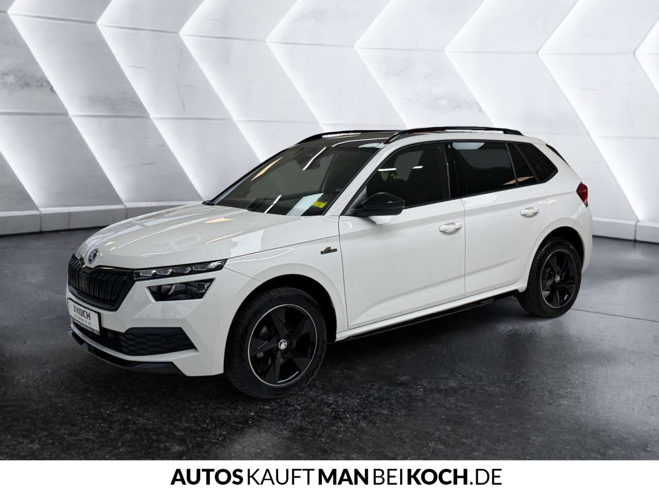 Fahrzeugbild eines Skoda Kamiq