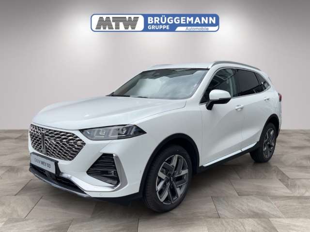 Fahrzeugbild eines GWM Wey 03