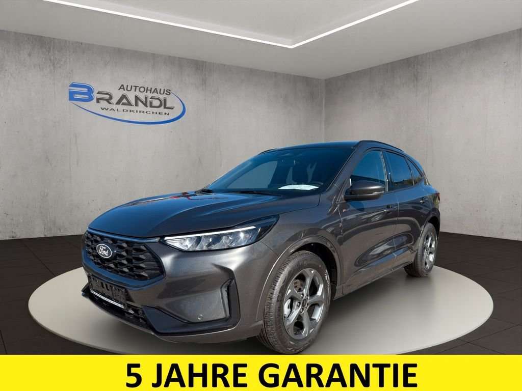 Fahrzeugbild eines Ford Kuga