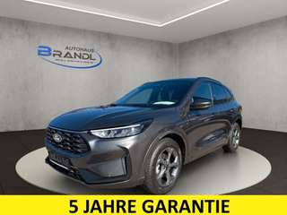 Schräge Frontansicht auf einen Ford Kuga , freigestellt