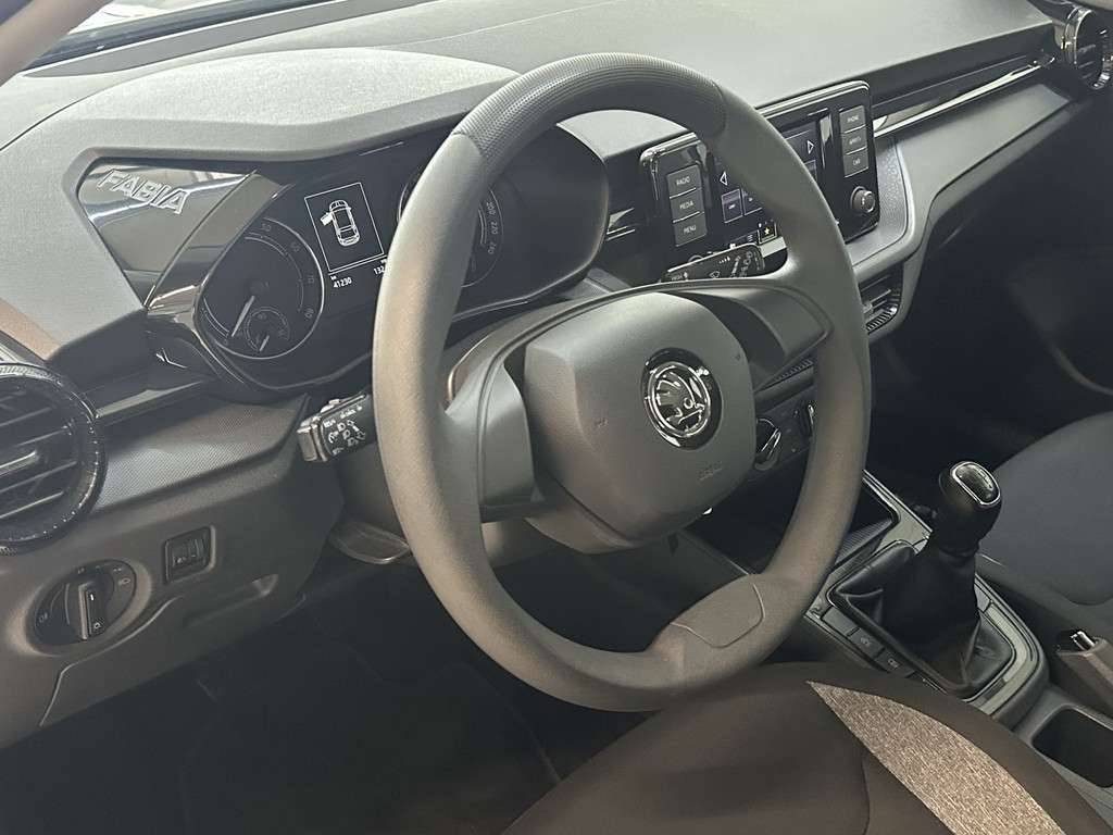 Fahrzeugbild eines Skoda Fabia
