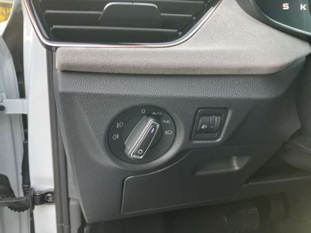 Fahrzeugbild eines Skoda Scala