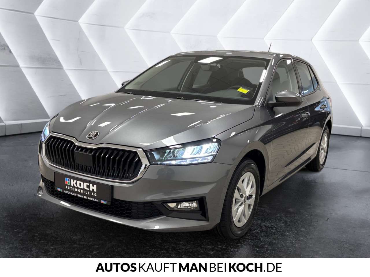 Fahrzeugbild eines Skoda Fabia