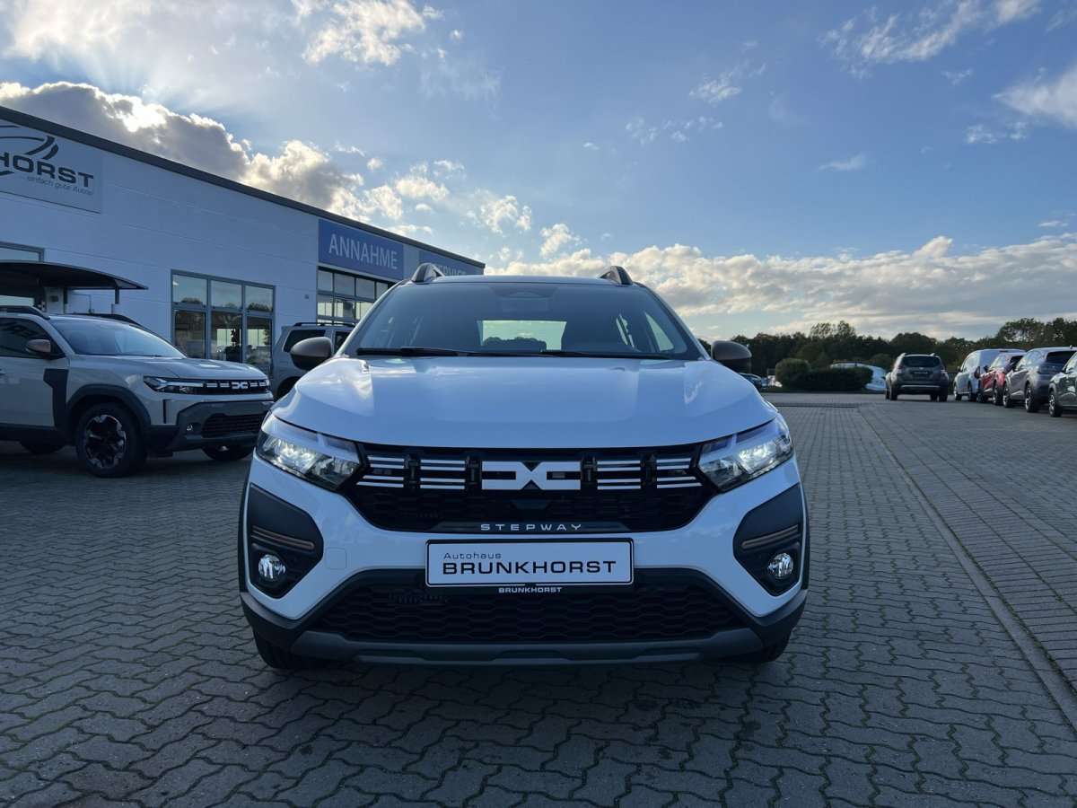 Fahrzeugbild eines Dacia Sandero