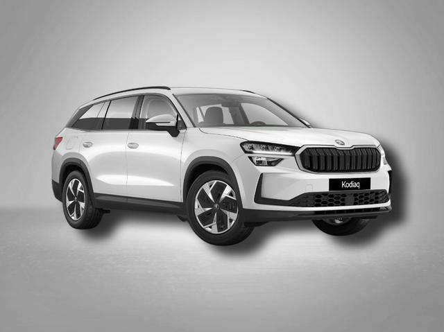 Fahrzeugbild eines Skoda Kodiaq