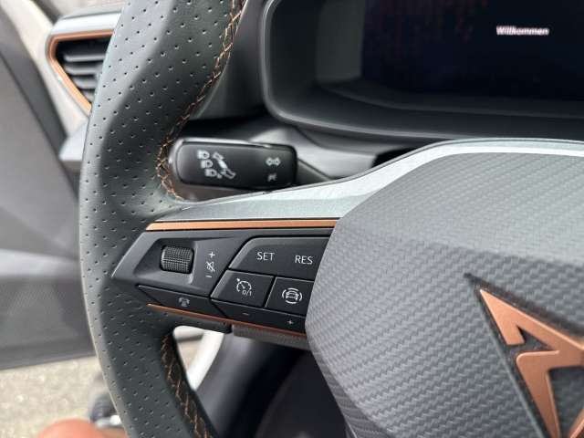 Fahrzeugbild eines CUPRA Formentor