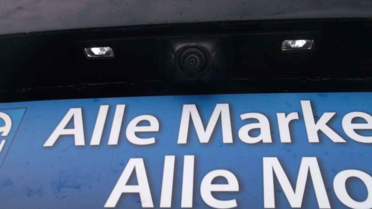 Fahrzeugbild eines Ford Kuga