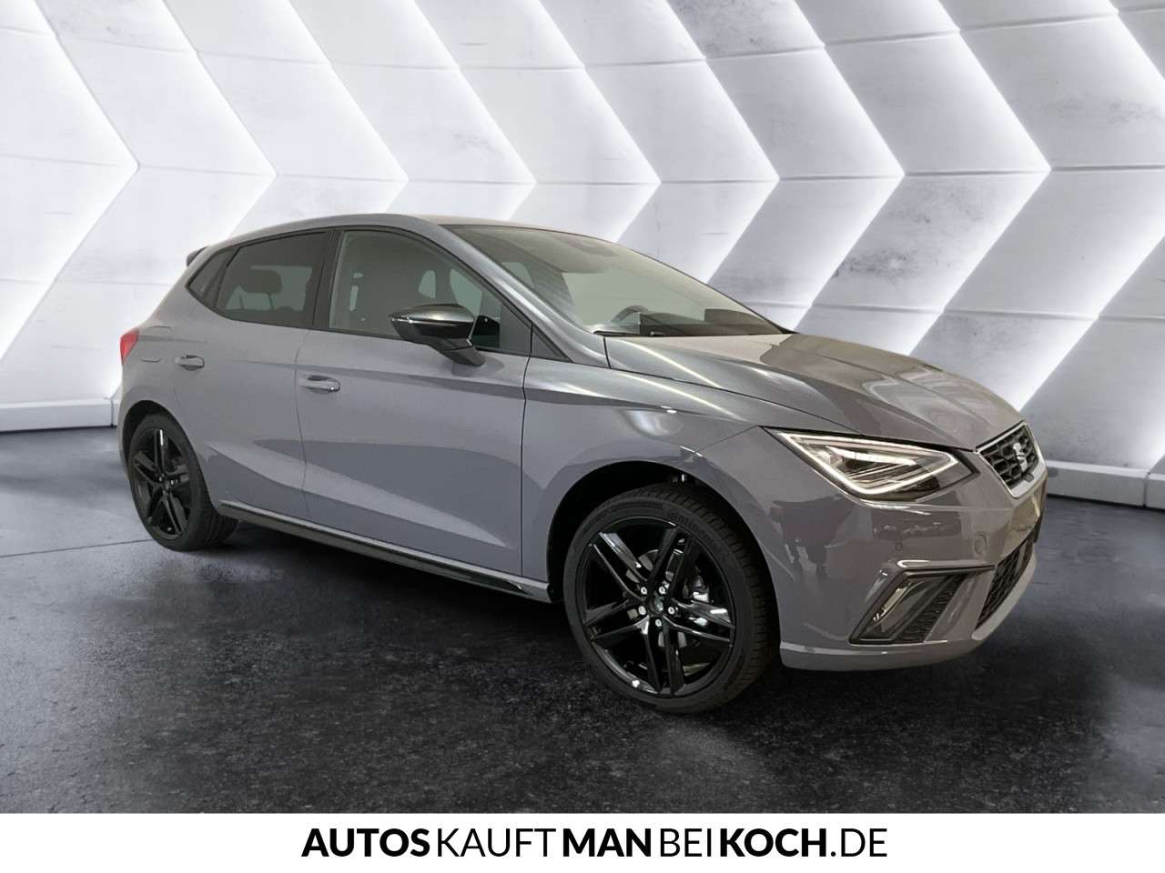 Fahrzeugbild eines SEAT Ibiza