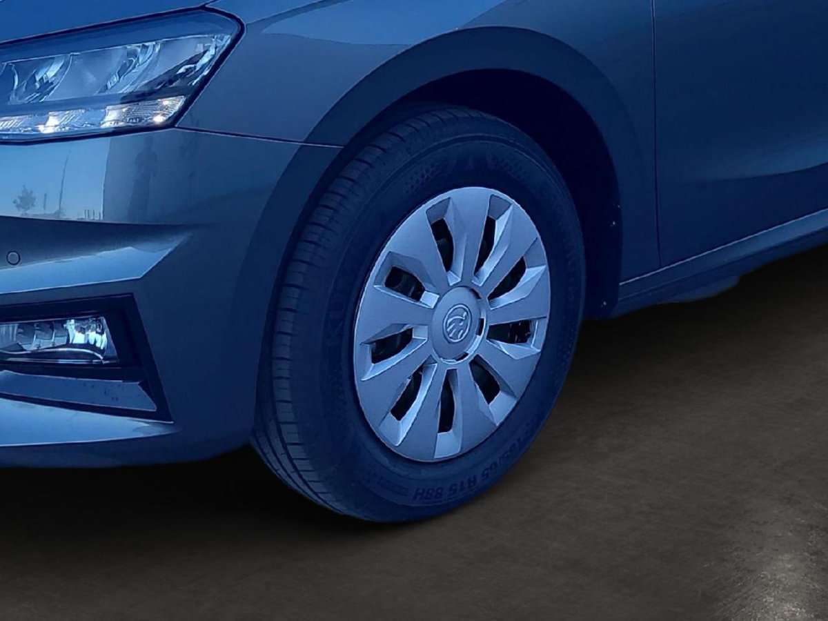 Fahrzeugbild eines Skoda Fabia