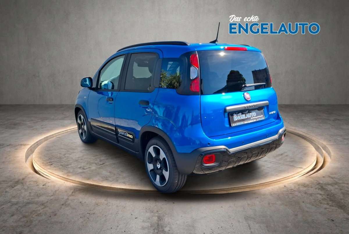 Fahrzeugbild eines Fiat Panda
