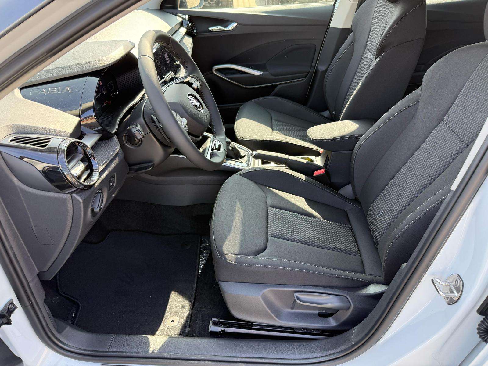 Fahrzeugbild eines Skoda Fabia