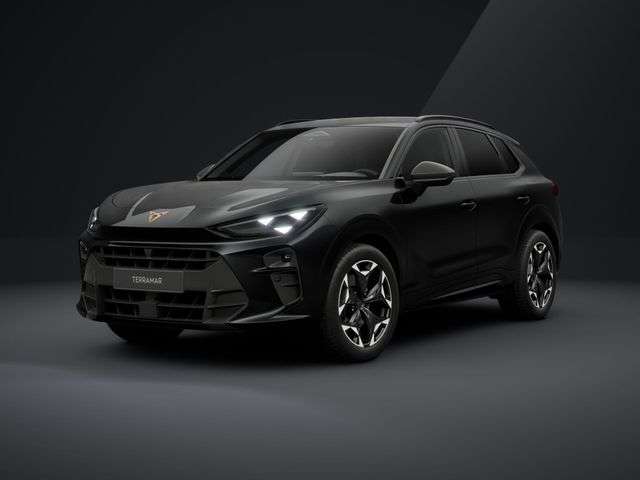 Fahrzeugbild eines CUPRA Terramar