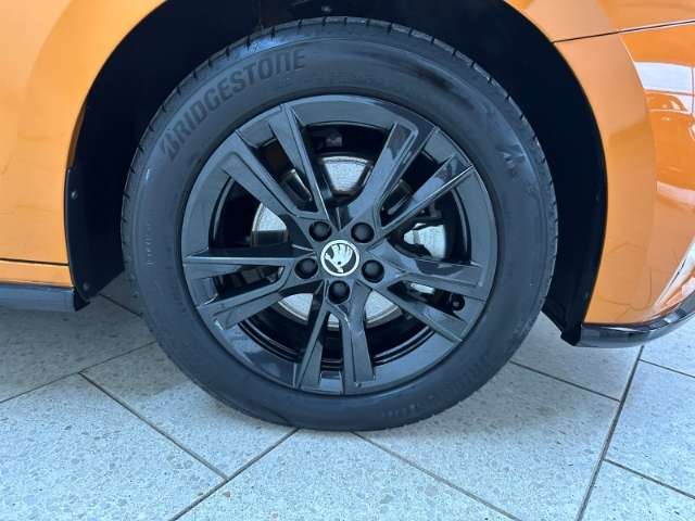 Fahrzeugbild eines Skoda Fabia