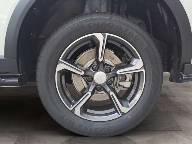 Fahrzeugbild eines GWM Haval Jolion Pro