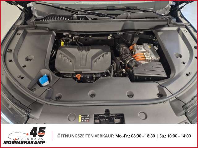 Fahrzeugbild eines GWM Wey 03