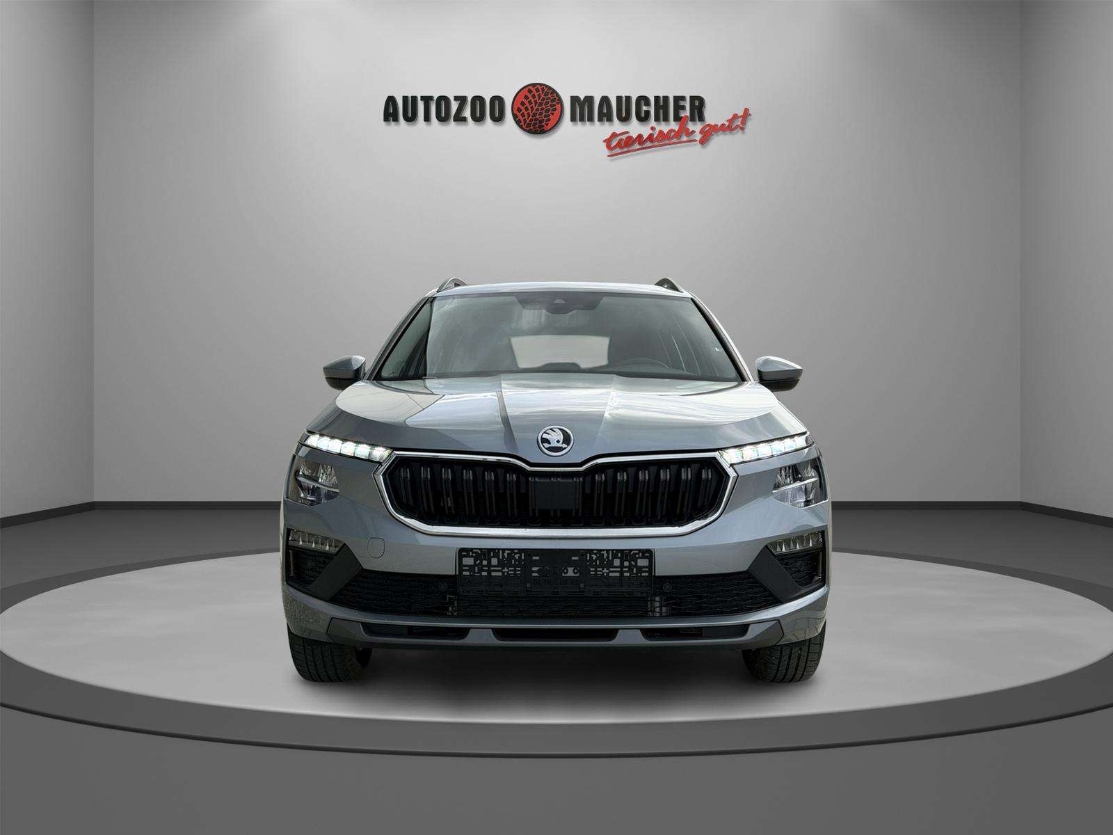 Fahrzeugbild eines Skoda Kamiq