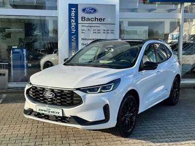 Bild Ford Kuga