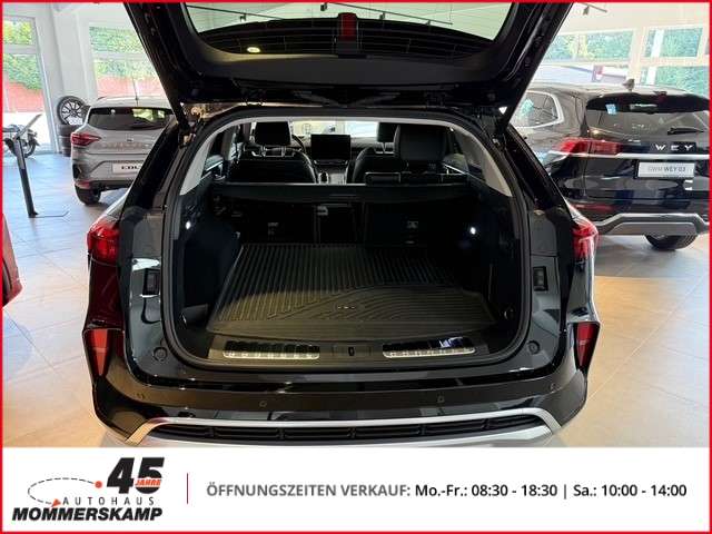 Fahrzeugbild eines GWM Wey 05