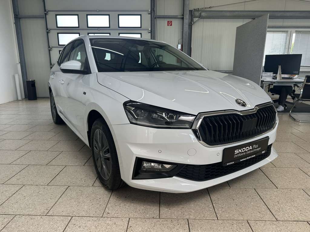 Fahrzeugbild eines Skoda Fabia