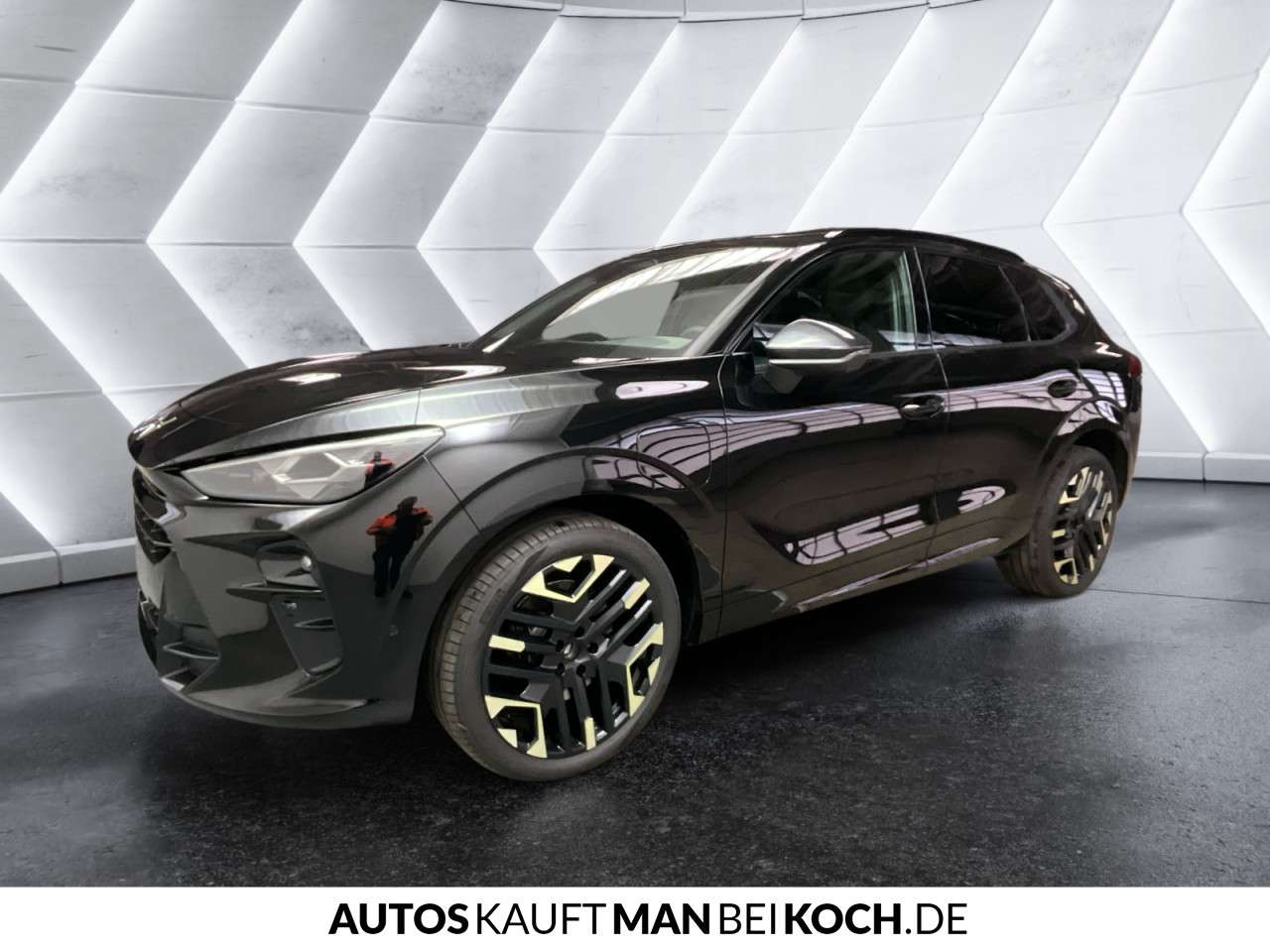 Fahrzeugbild eines CUPRA Terramar