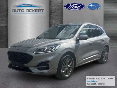 Bild Ford Kuga